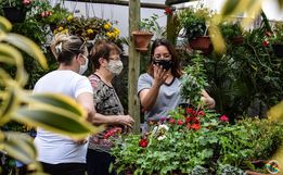 Flor de Liz comemora aniversário com Feirão de Plantas em SMO