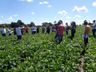 Casa Familiar Rural de Iporã do Oeste abre pré-matrículas para curso técnico em agricultura