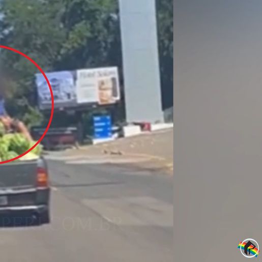 VÍDEO: motorista flagra homens dividindo espaço com carga de melancia