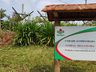 Dia de Campo sobre Videira é realizado em Guarujá do Sul