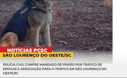 Mulher é presa por tráfico de droga e associação ao tráfico em São Lourenço do Oeste