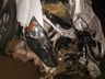 Carro colide em animal na SC-480, motorista fica ferido e boi morto