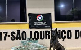 Cerca de 30kg de crack avaliados em mais de R$ 500 mil são apreendidos na SC-157