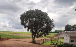 Administração conclui melhorias na estrada geral entre Vista Alta e Vila Rica