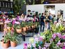 Central Flor, Floricultura e Paisagismo inaugura em São Miguel do Oeste