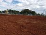 Novo terreno deve ampliar espaço para estandes externos na Faic 2023