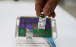 Vacinação contra a dengue será ampliada para a região de Chapecó