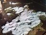 Veja a cobertura completa e as fotos do temporal que causou estragos em São Miguel do Oeste