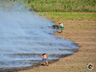 Bombeiros combatem incêndios e alertam para os riscos no período de estiagem