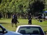 1º Torneio de Tiro de Laço de Vaca Mecânica movimenta Semana Farroupilha