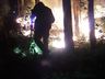 Incêndio volta atingir área de reflorestamento em São José do Cedro