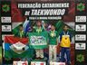 Alunos de Santa Terezinha do Progresso são destaques em competição de Taekwondo