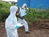 Casos de dengue chegam a 13 em São Miguel do Oeste