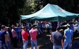 Cooperalfa promove campo tecnológico de pastagens de verão em SJCedro