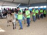 Julgamento de bovinos marca penúltimo dia da 10ª FAIC, em Iporã do Oeste