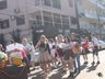 12ª DEUTSCHE WOCHE: 40 entidades participam do Desfile Típico Alemão; fotos