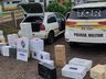 PMRv apreende veículo e mercadorias avaliados em mais de R$64 mil em Palma Sola