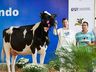 Produtor trabalha com genética visando retorno das feiras
