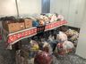 Lar Aprisco recebe 750 quilos de alimentos da PRF