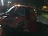 Colisão frontal entre dois carros deixa um ferido na BR-282, em Pinhalzinho