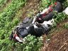 Homem morre em queda de moto na SC-135