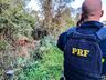 Jovem sofre ferimentos em saída de pista na BR-282; vídeo