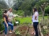 Horto da Vida de Mondaí dispõe mais de 230 espécies de plantas medicinais