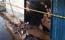 Aviário com 40 mil pintinhos é atingido por incêndio no interior de Descanso