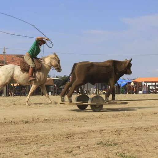 Grupo de Cavalarianos vai organizar eventos na Semana Farroupilha 