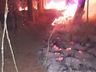 Vídeo: Bombeiros levam seis horas para combater incêndio em reflorestamento no interior de Riqueza