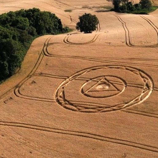 Primeiro agroglifo de 2025 aparece em plantação de trigo no Oeste