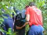 VÍDEO: Homem de origem Haitiana morre afogado no Rio das Antas 