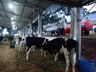 Segundo dia de Expo Cedro 2023!