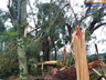 Chapecó é atingida por vendaval neste sábado; meteorologista identifica tornado