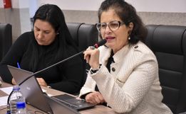 Vereadora propõe criação de legislação específica para loteamentos populares em São Miguel do Oeste