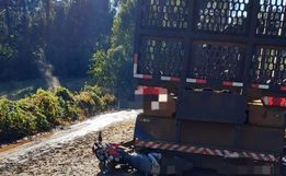 Adolescente fica ferido em colisão entre moto e caminhão no interior de Palma Sola