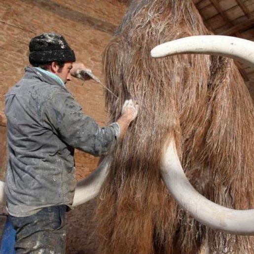 Cientistas recebem US$ 15 milhões para ressuscitar mamute extinto há 4 mil anos