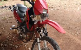 Moto é furtada em SMOeste e proprietário pede ajuda para localizá-la