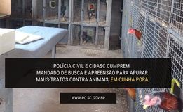 Polícia localiza criador clandestino de animais no interior de Cunha Porã