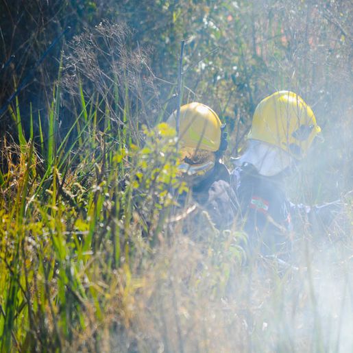 VÍDEO: Geada e tempo seco aumentam riscos de incêndios em vegetação 