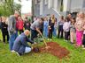 Igreja Católica desenvolve campanha para plantio de árvores