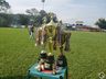 Real de Santa Fé Alta é campeão da Taça Amizade Série Ouro Itapiranga 2023
