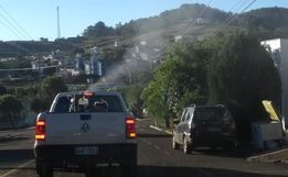 São José do Cedro recebe novo fumacê após confirmação de 18 casos de Dengue