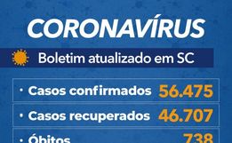 Estado confirma 56.475 casos e 738 mortes por Covid-19