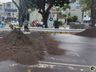 Urbanismo implanta a primeira faixa elevada em pavers