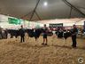 Avaliação de bezerras e novilhas é realizada na 11ª Efrait de Itapiranga