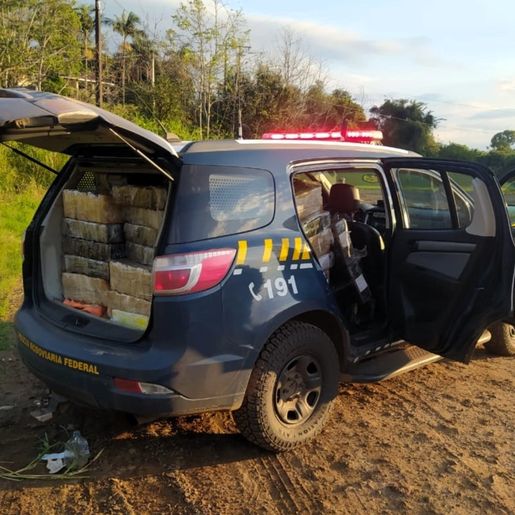 PRF encontra quase 500 kg de maconha às margens da BR-282 em Iraceminha