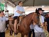 Equoterapia com alunos da APAE de Itapiranga integra programação da Efrait