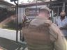 VÍDEO: Homem furta Saveiro, capota, retorna para Belmonte e é preso em flagrante 