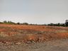 Agrônomo lamenta erosões causadas por manejo errado em lavouras